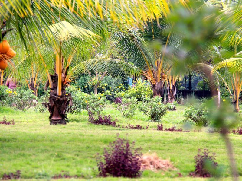 Okura Island Resort And Spa Kadalur Eksteriør billede